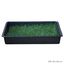 Petground Cama para perros Empapador Alfombra Olfativa Césped Natural, , large indicador imagen numero 2