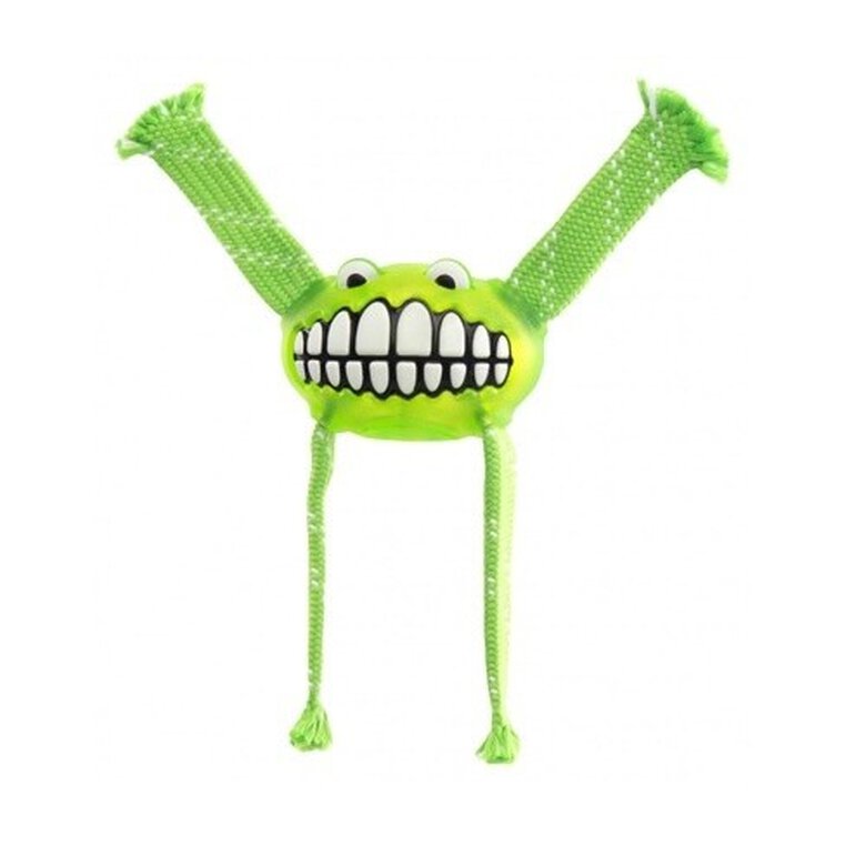 Rogz flossy juguete de peluche flexible verde lima para perros, , large image number null