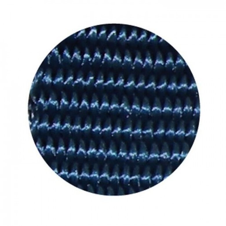 Yago correa de nylon azul para perros, , large image number null
