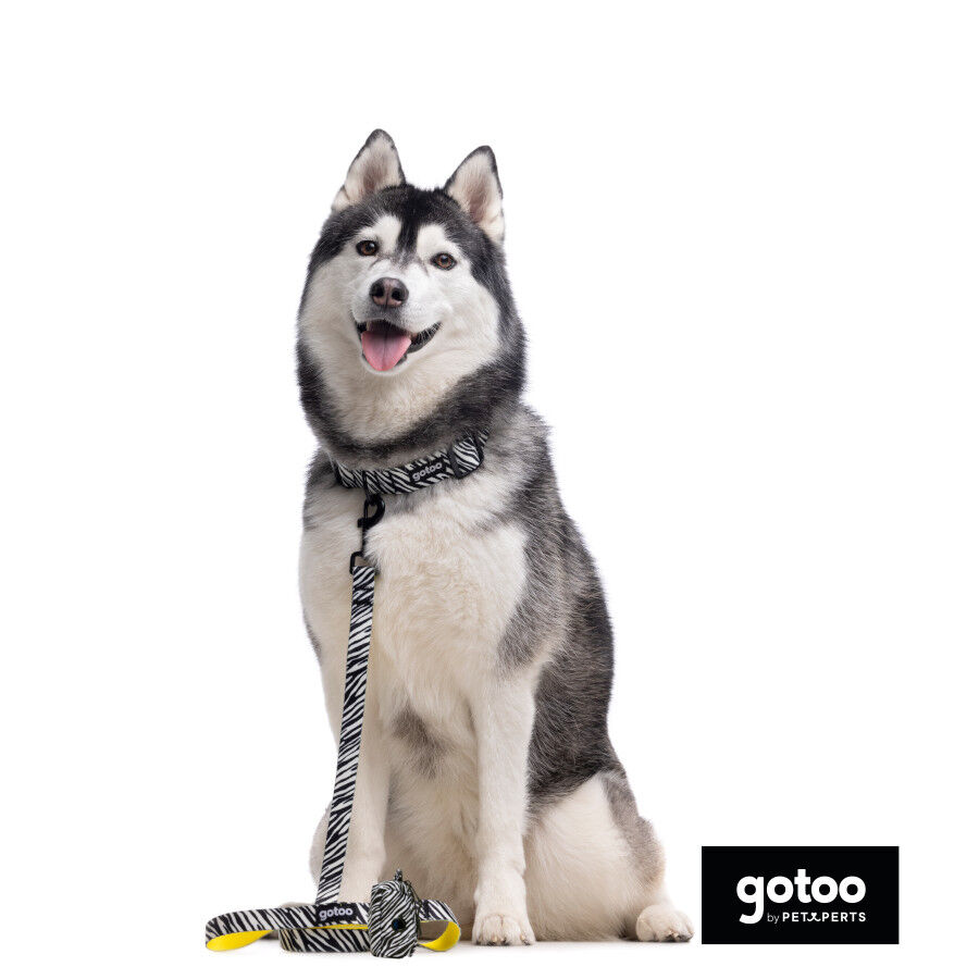 Gotoo Collar estampado zebra para perros, , large Imagen numero 4