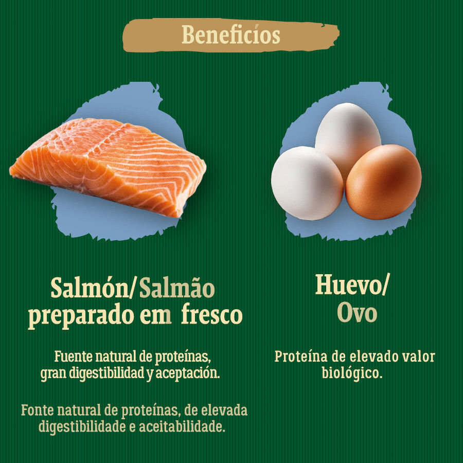 2 kg True Origins Wild Pacific Salm&oacute;n pienso para gatos senior, , large Imagen numero 5