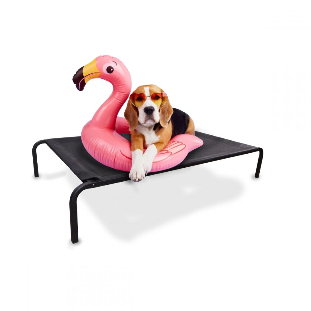 Mobiclinic Cama elevada negra Cleo para mascotas