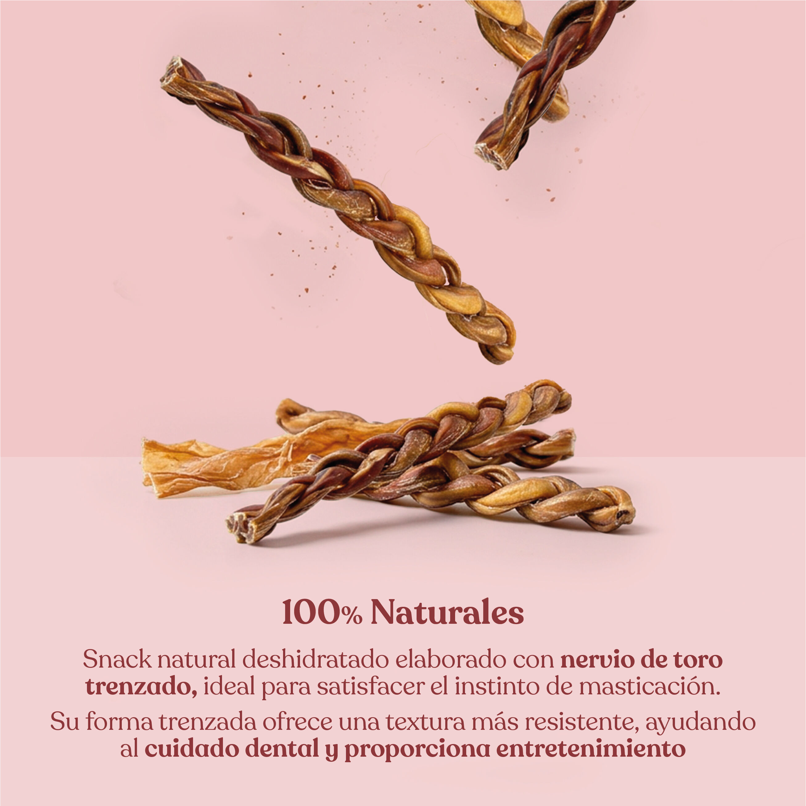 dr.bimix Nervio de Toro Trenzado para Perros | Masticaci&oacute;n Natural y Entretenimiento Duradero, , large Imagen numero 2
