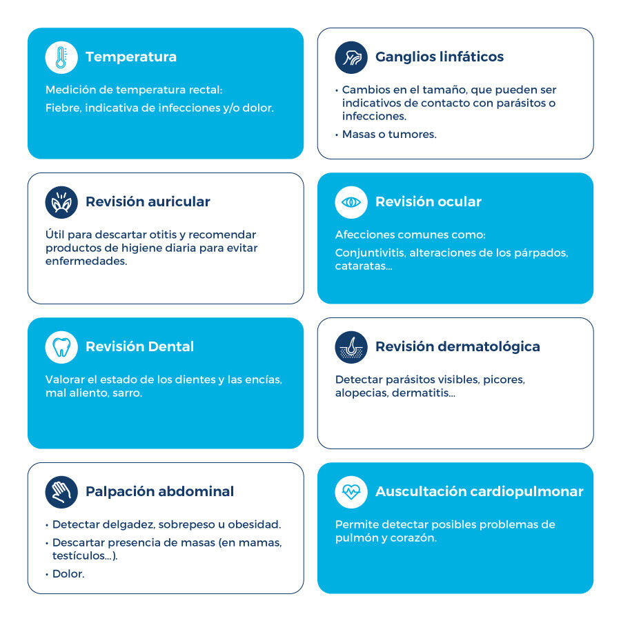 Tarjeta de prevención de la rabia + revisión veterinaria completa para hurones