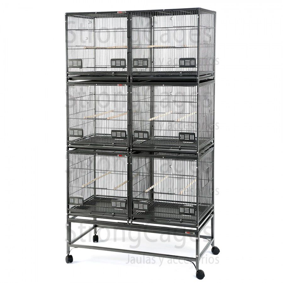 Jaula Expositor ROMA, , large Imagen numero 3