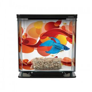 Kit de betera Marina Betta para peces, colores Varios