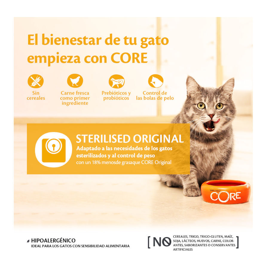 Wellness Core Adult Sterilised Pollo y Pavo pienso para gatos thumbnail