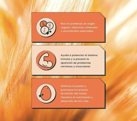 Finca Casarejo Vitamínico para Cría y Reproducción de Las Gallinas y Otras Aves de Corral thumbnail