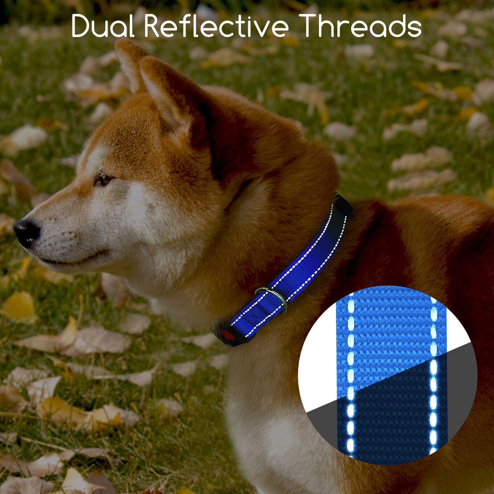 Nobleza - 2&times; Collar Perro, Collar Nylon Reflectante Suave Acolchado para Perros, Ajustable Collar Perro Peque&ntilde;o con Cerradura de Seguridad, Collares de Entrenamiento para Perros (S, Azul), , large Imagen numero 4