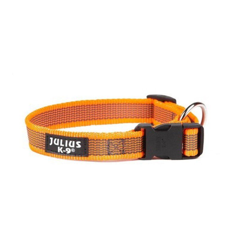 Collar Julius K9 para perros color Naranja, , large image number null