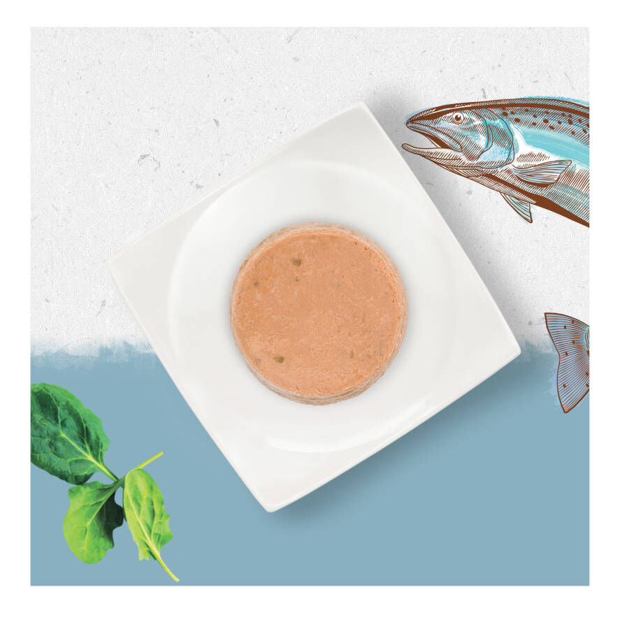 85 g Beyond Grain Free Salm&oacute;n lata paras gatos, , large Imagen numero 3