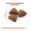 10 kg Royal Canin Home Life Indoor 27 pienso para gatos, , large indicador imagen numero 3