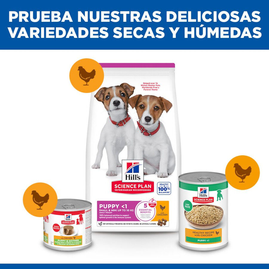 3 kg Hill's Science Plan Puppy Small y Mini Pollo Pienso para cachorros, , large Imagen numero 8