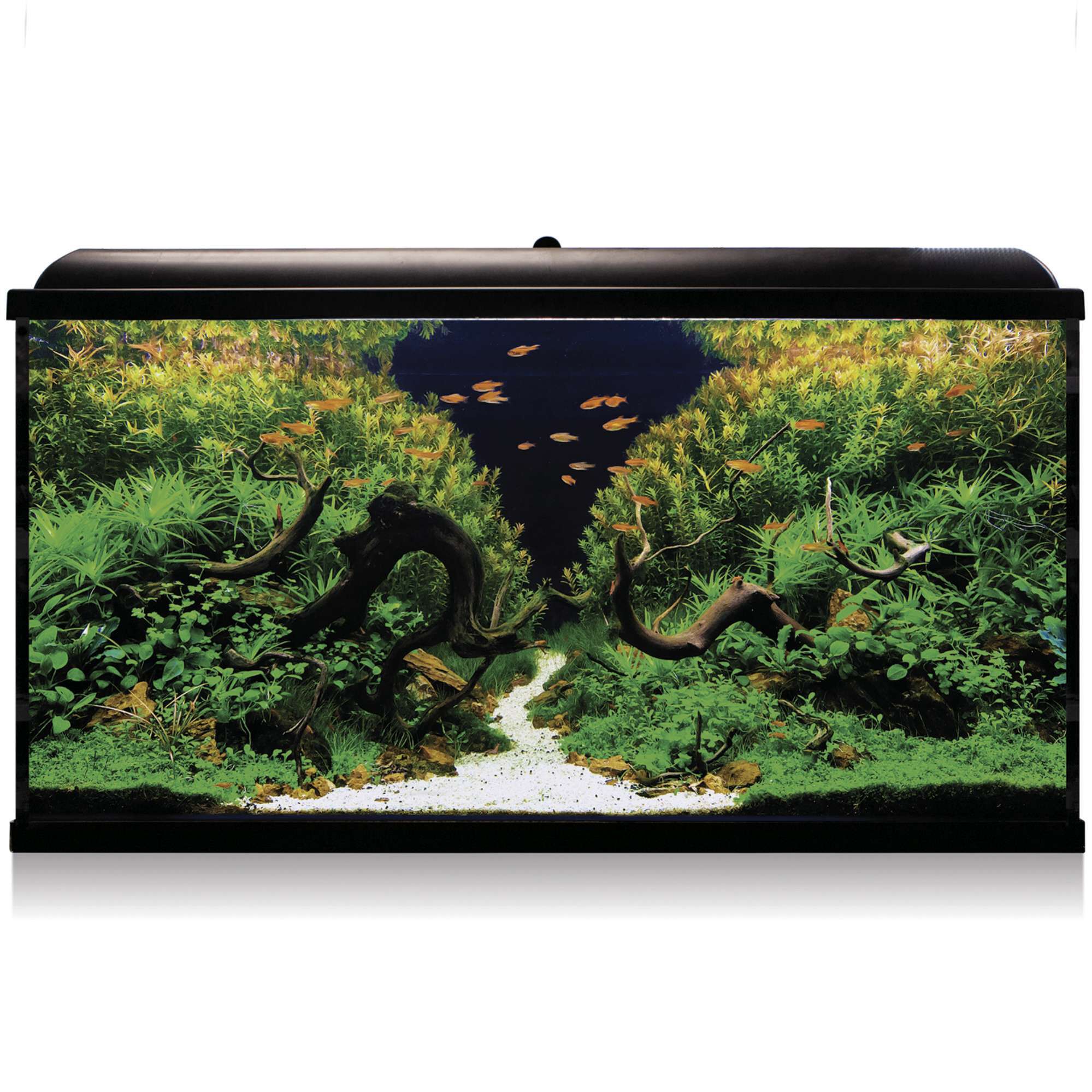 ICA Kit Aqua LED Pro 300 con filtro exterior para acuarios