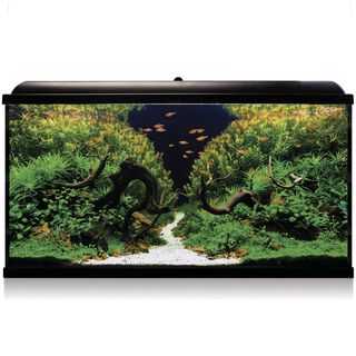 ICA Kit Aqua LED Pro 300 con filtro exterior para acuarios
