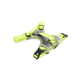 All For Paws K-Nite Arn&eacute;s con Luz para perros