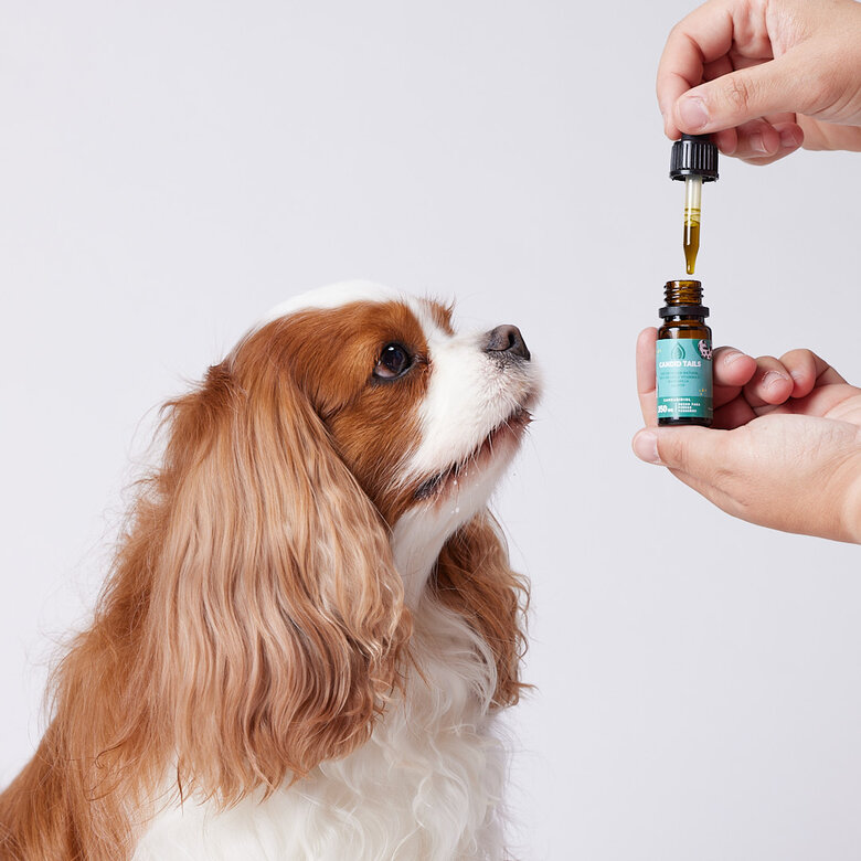 Petidibidiol aceite para perros pequeños 350 mg, , large image number null