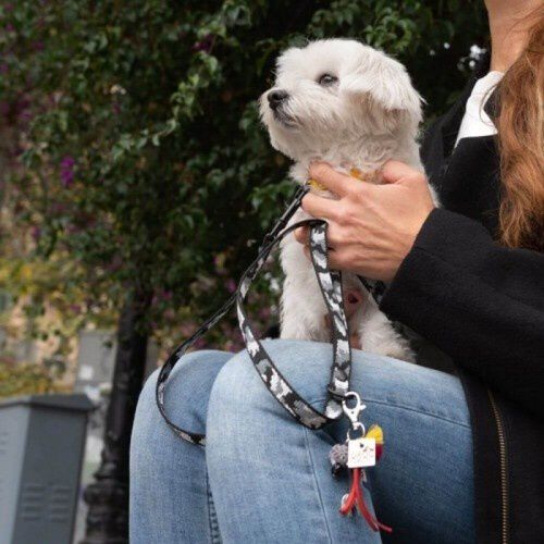 Correa Luckly Gris Camuflaje para perros color Gris, , large Imagen numero 4