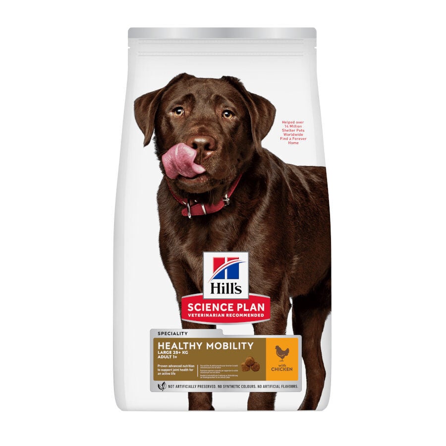 12 kg Hill's Science Plan Healthy Mobility Adult Large Pollo pienso para perros