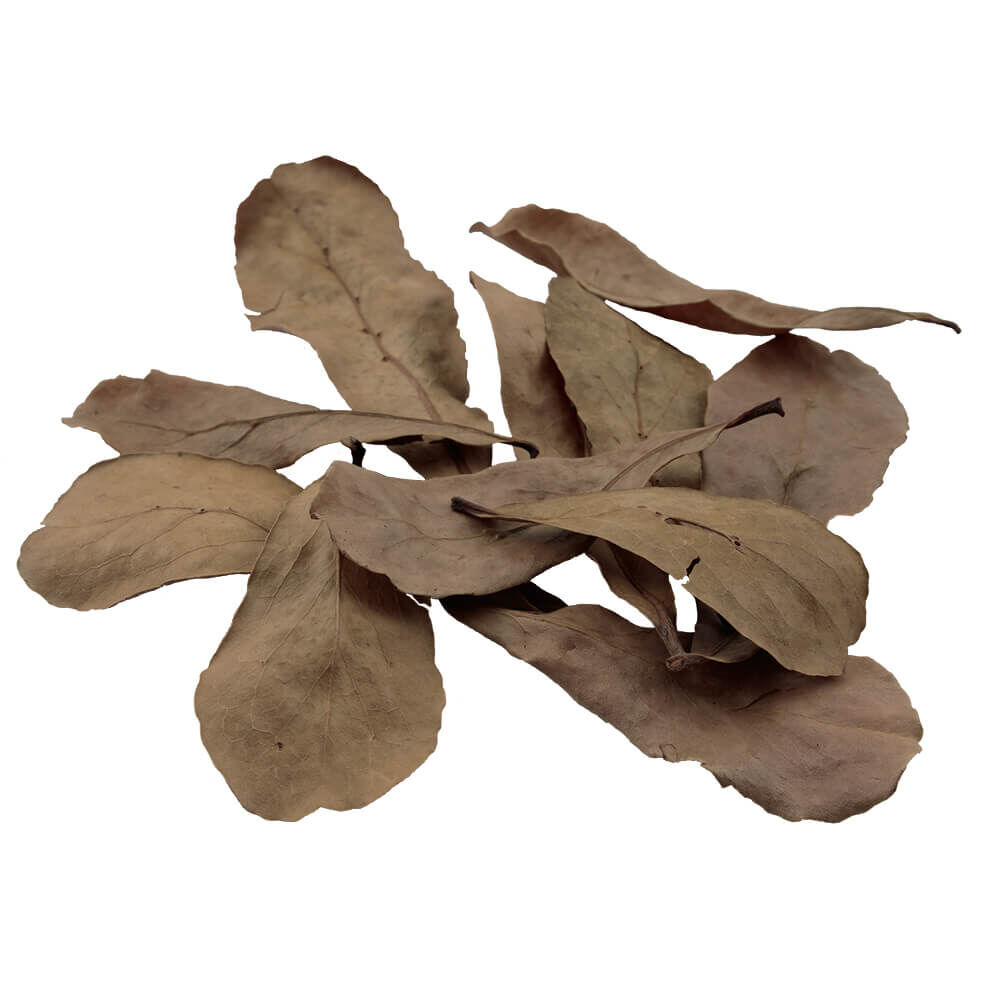 Fluval Betta Tropical Almond Bark, 3 pack, , large Imagen numero 2
