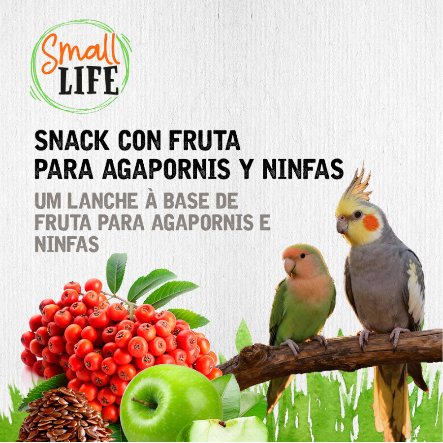 2 barritas Small Life Barritas Snack con Fruta para agapornis y ninfas, , large Imagen numero 4