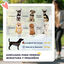 PawHut Cochecito para Perros Azul Marino, , large indicador imagen numero 4