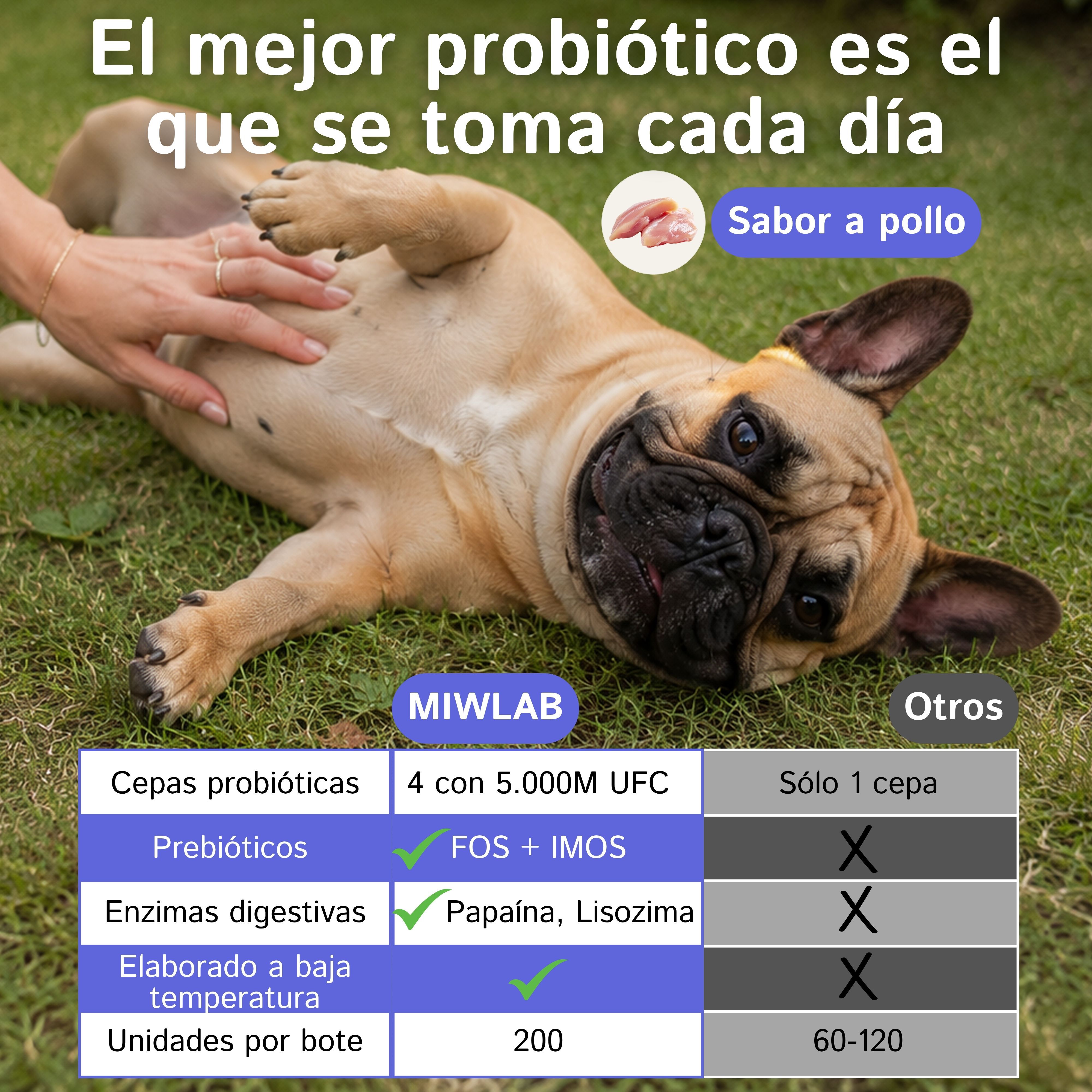 Digesti&oacute;n Pre + Probi&oacute;ticos Perros, 200 Uds, 100% Natural con 5 Billones UFC Enzimas y Fibra Suplemento Perro Hecho en Espa&ntilde;a Combate Diarrea V&oacute;mitos Gases para Flora Intestinal Salud Digestiva Pollo, , large Imagen numero 2