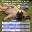 Digesti&oacute;n Pre + Probi&oacute;ticos Perros, 200 Uds, 100% Natural con 5 Billones UFC Enzimas y Fibra Suplemento Perro Hecho en Espa&ntilde;a Combate Diarrea V&oacute;mitos Gases para Flora Intestinal Salud Digestiva Pollo, , large indicador imagen numero 2