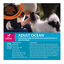 5 kg Wellness Core Adult Small Ocean Salmón y Atún pienso para perros, , large indicador imagen numero 4