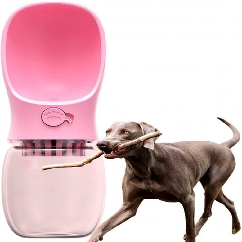 Edipets bebedero portátil rosa libre BPA para perros medianos y grandes, , large image number null