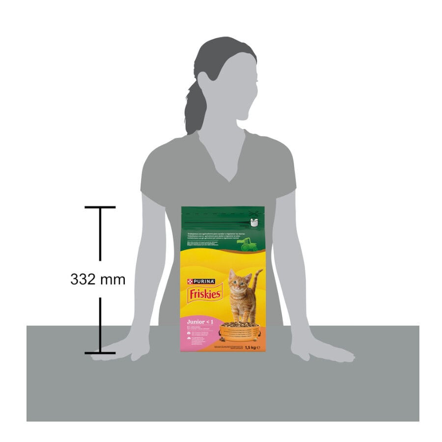 1.5 kg Friskies Junior pienso para gatos , , large Imagen numero 7