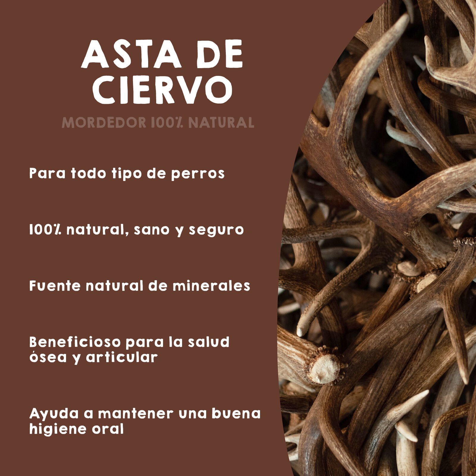 MAIKAI Asta de Ciervo Mordedor para Perro thumbnail