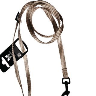Martin Sellier Correa Nylon Beige para perros y gatos