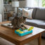 Catstages Juego de inteligencia para gatos, , large indicador imagen numero 1