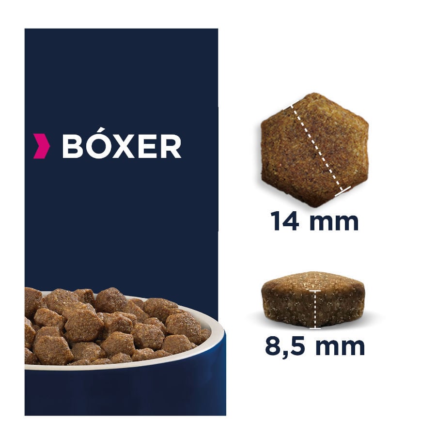 Eukanuba Adult Boxer pienso para perros thumbnail