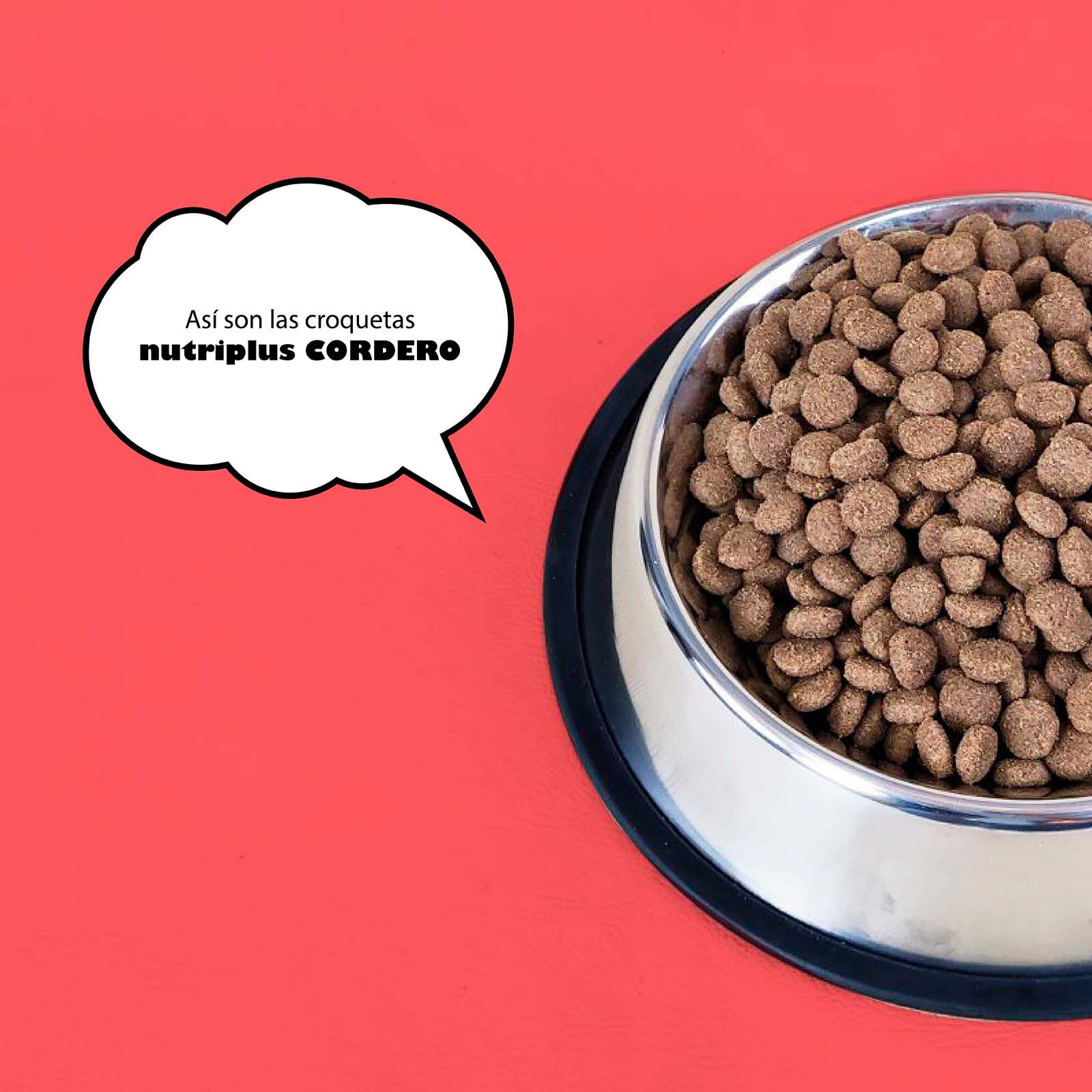 Pienso para perros adultos sabor Cordero, , large Imagen numero 3