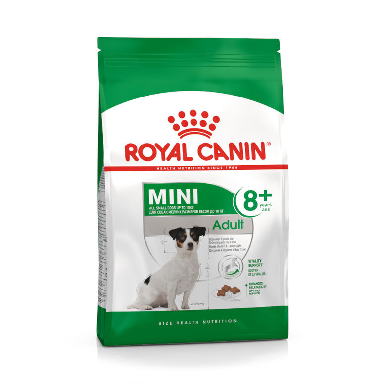 Royal Canin Mini +8 Adult pienso para perros, , large image number null