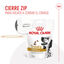 230 g Royal Canin Treats Urinary Snacks para perros, , large indicador imagen numero 4