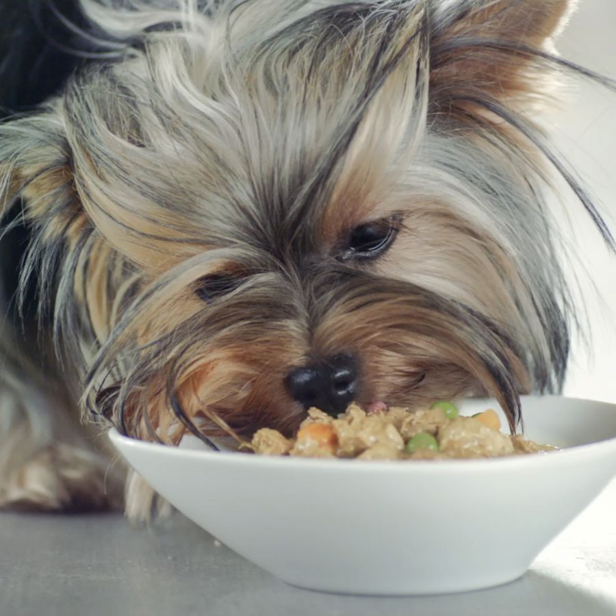 4 sobres x 100 g Purina One Adult Mini Weight Control Sterilised Pavo y Cerdo sobre para perros , , large Imagen numero 3