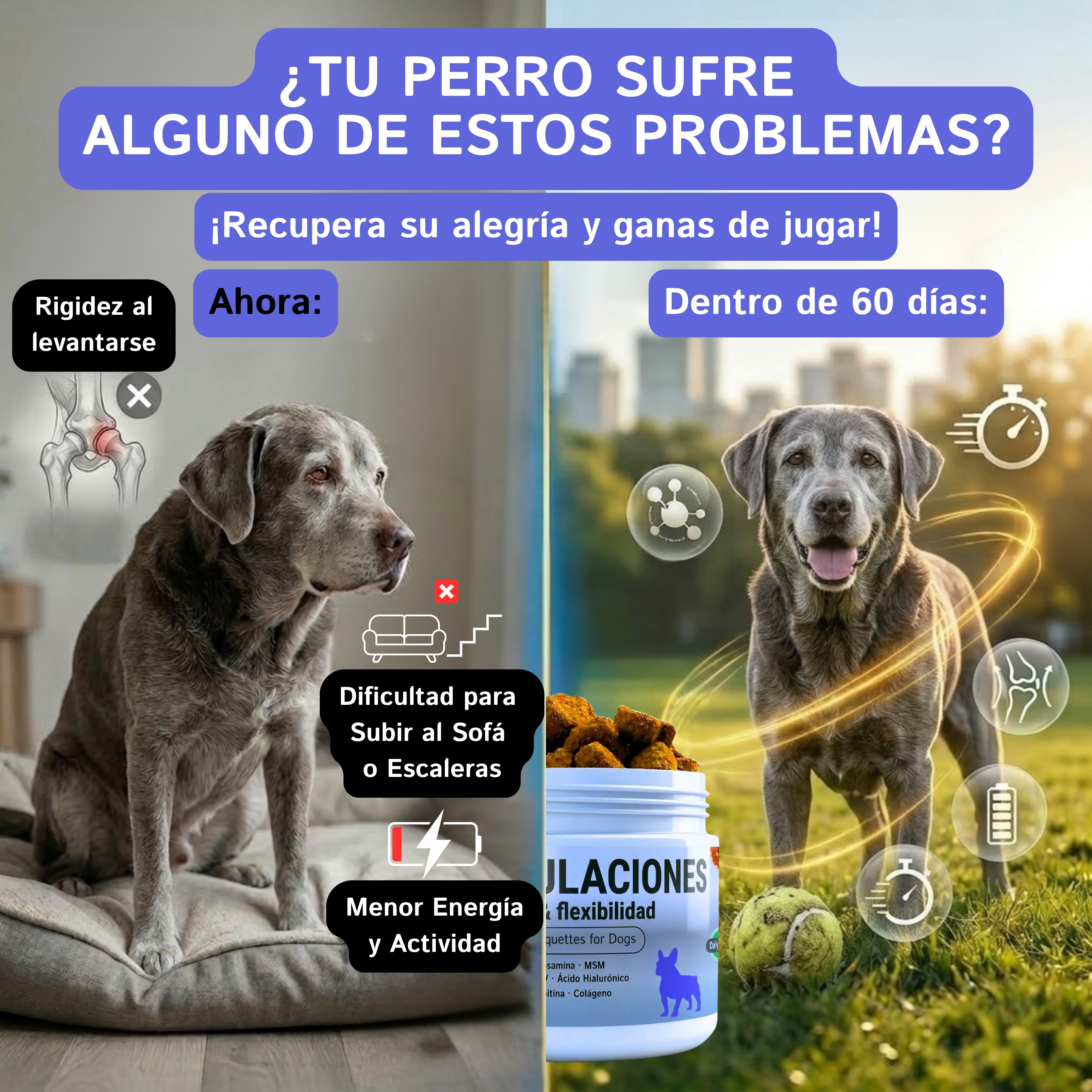 Condroprotector Perros Hecho en Espa&ntilde;a 200 Uds Suplemento 100% Natural C&uacute;rcuma &Aacute;cido Hialur&oacute;nico Mejill&oacute;n Labios Verdes MSM Glucosamina Condroitina Salm&oacute;n Col&aacute;geno | Complemento Articulaciones Perro, , large Imagen numero 2