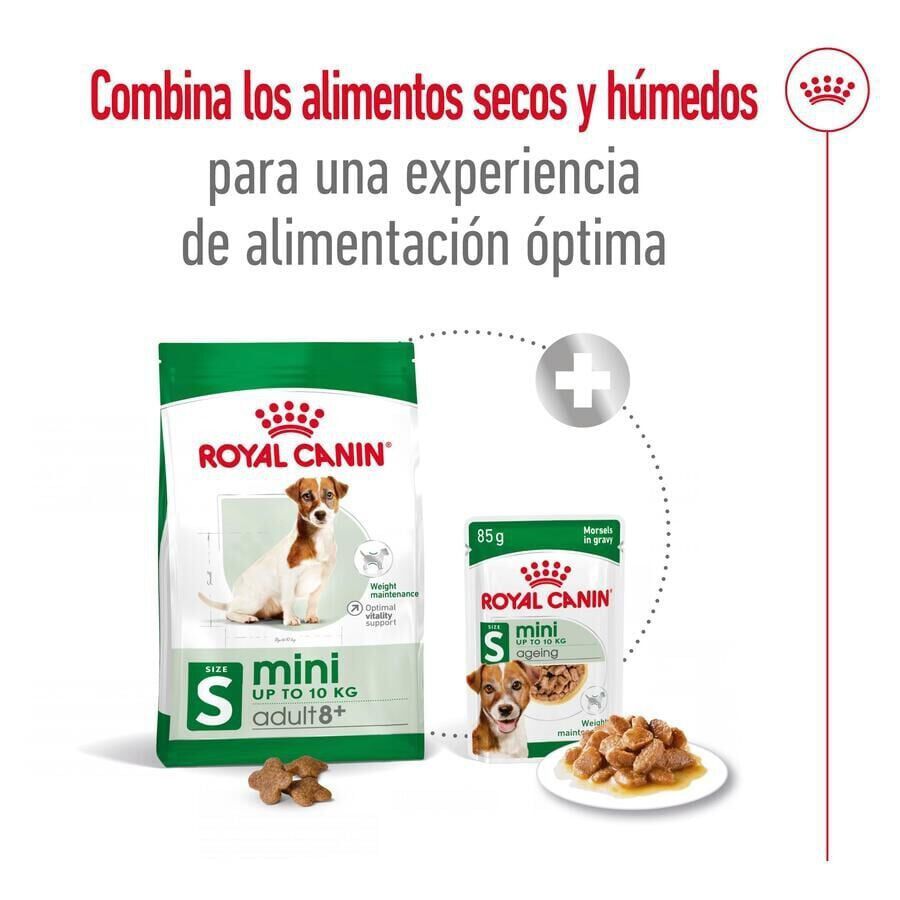Royal Canin Mini 8+ Adult pienso para perros thumbnail