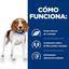 10 kg Hill's Prescription Diet Weight Loss r/d Pollo pienso para perros, , large indicador imagen numero 2