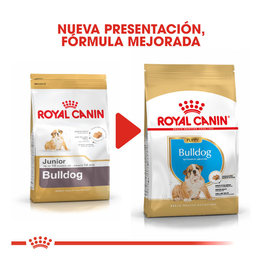 Royal Canin Puppy Bulldog pienso para cachorros thumbnail
