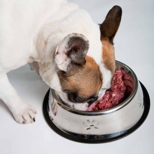 Super CRU Box para perro, , large Imagen numero 4