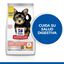 3 kg Hill's Science Plan Perfect Digestion Puppy Small y Mini Pollo y Arroz pienso para cachorros, , large indicador imagen numero 4
