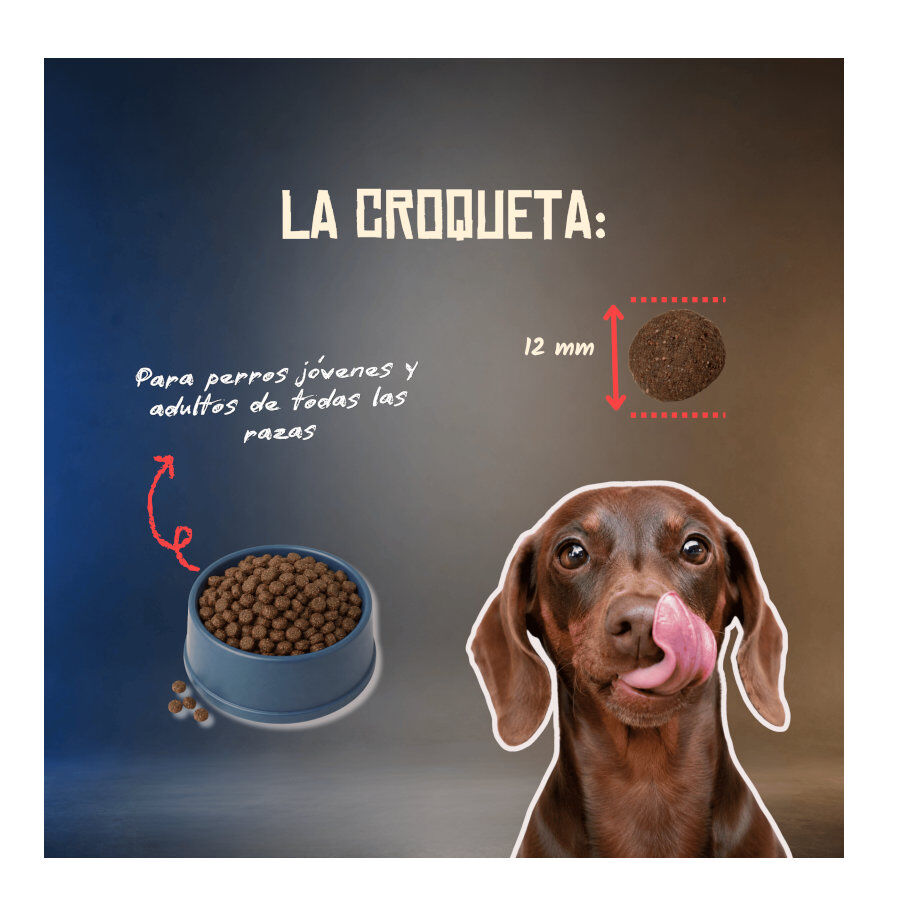 10 kg Lenda Grain Free Cerdo pienso para perros, , large Imagen numero 6