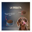 10 kg Lenda Grain Free Cerdo pienso para perros, , large indicador imagen numero 6