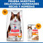 7 kg Hill's Science Plan Perfect Digestion Adult Pollo Pienso para gatos, , large indicador imagen numero 7