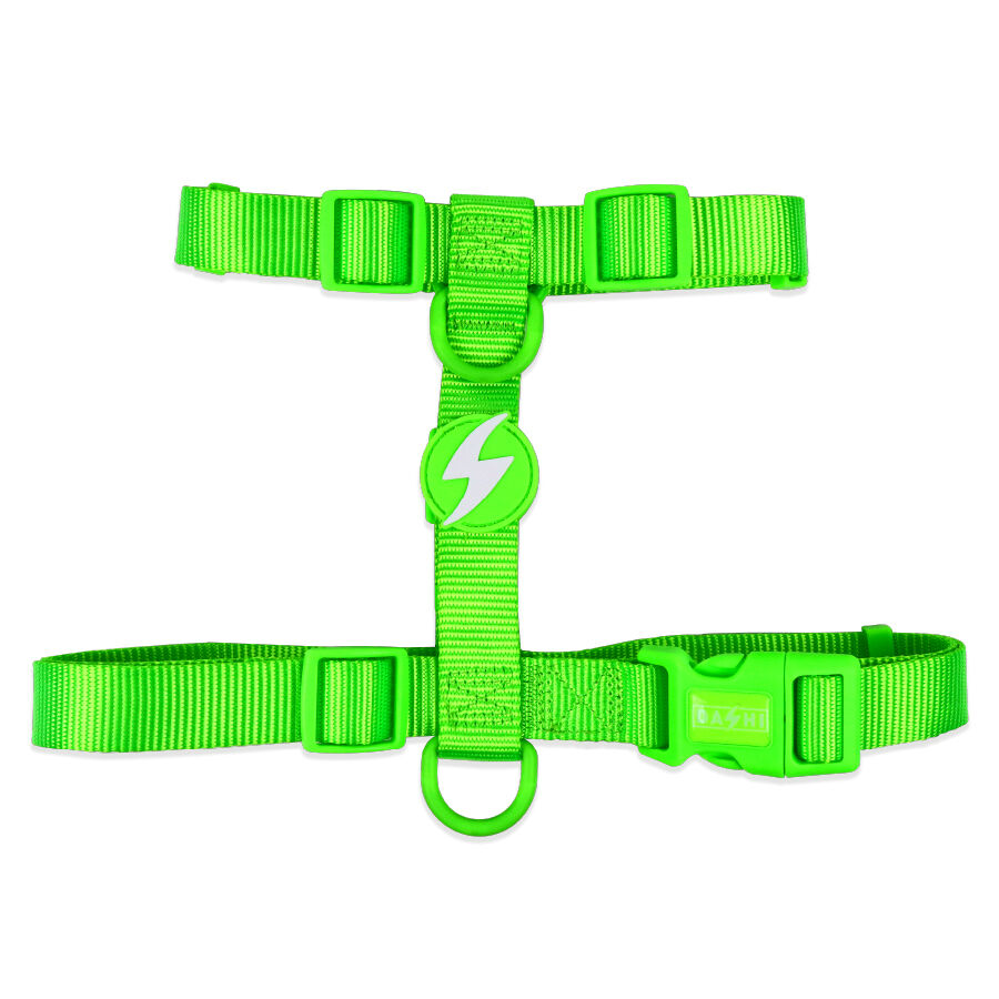 Arn&eacute;s Neon Verde, , large Imagen numero 1