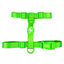 Arn&eacute;s Neon Verde, , large indicador imagen numero 1